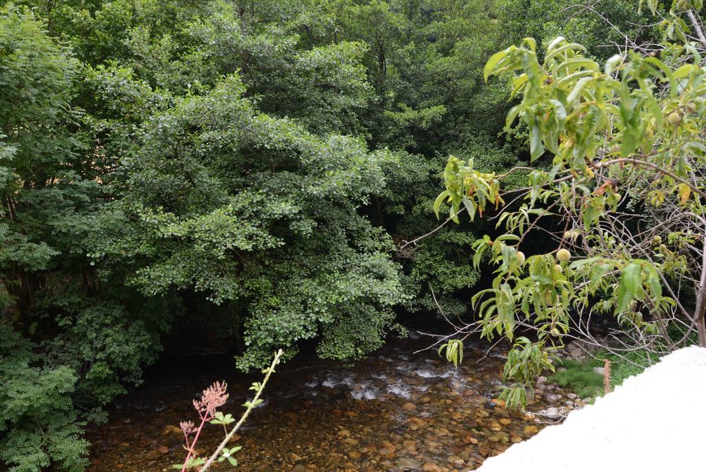Apartamentos El Rincon De Limes Cangas De Narcea Quarto foto