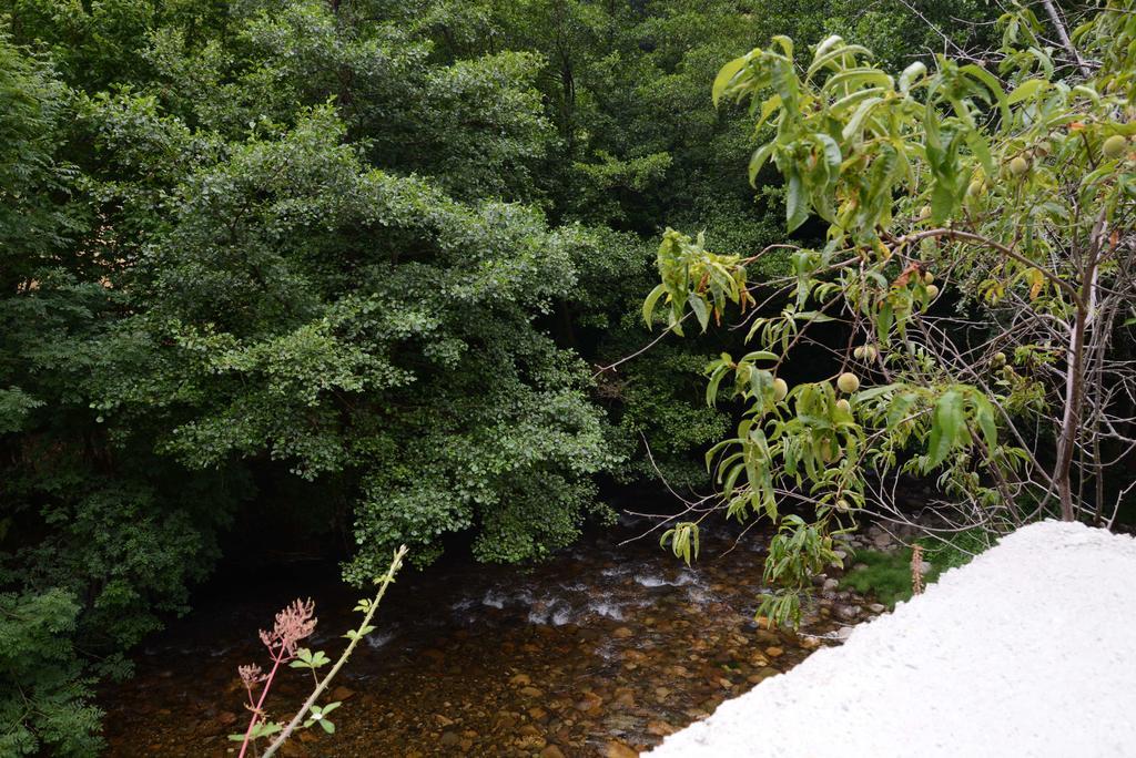 Apartamentos El Rincon De Limes Cangas De Narcea Quarto foto