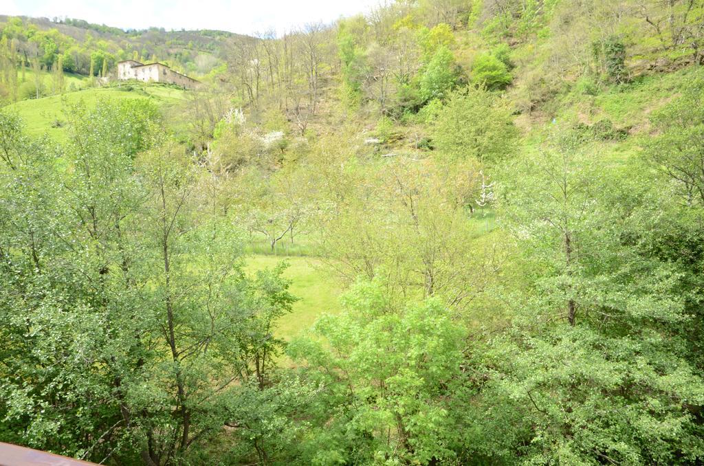 Apartamentos El Rincon De Limes Cangas De Narcea Exterior foto